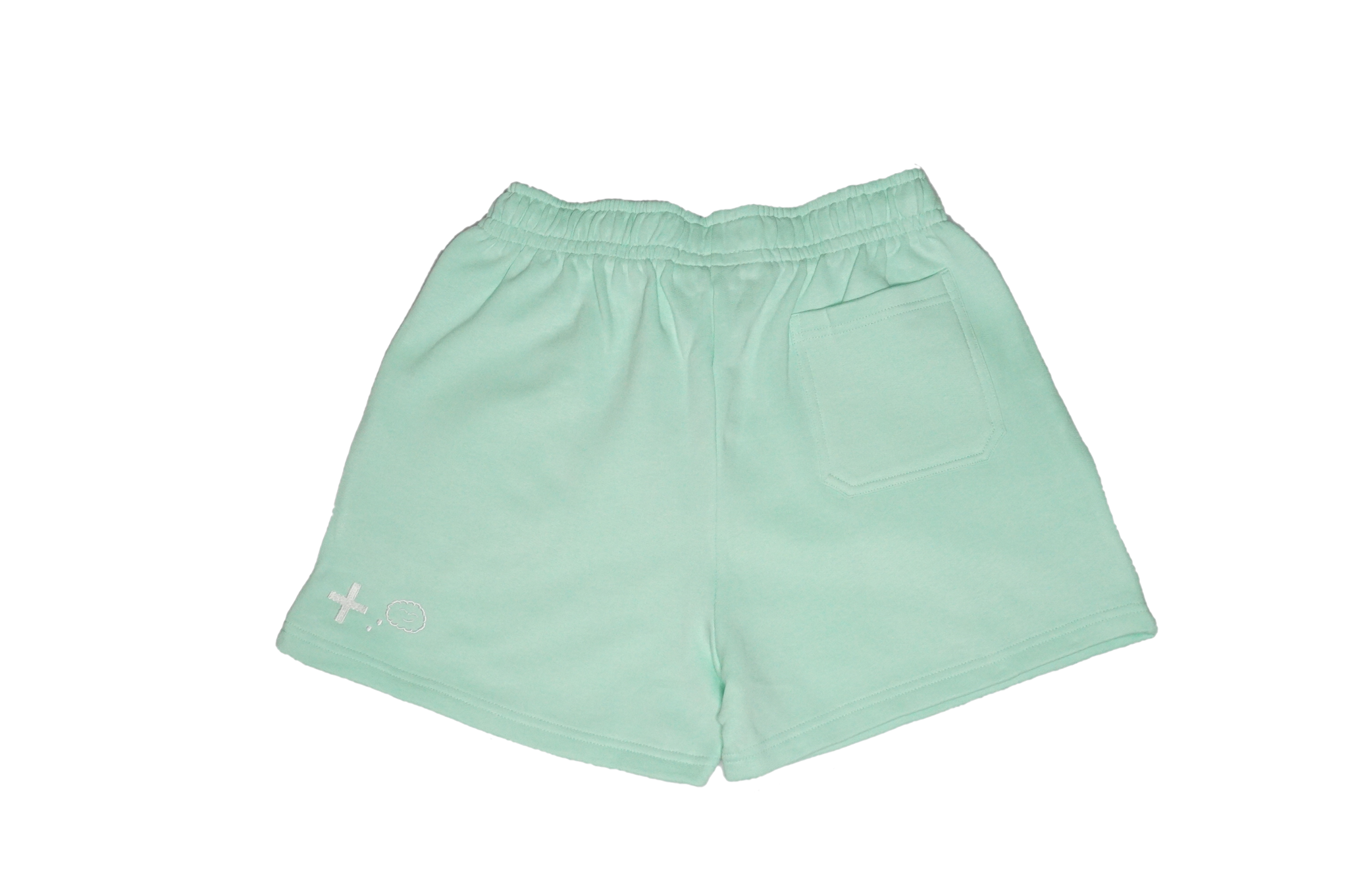 Mint Women's Shorts